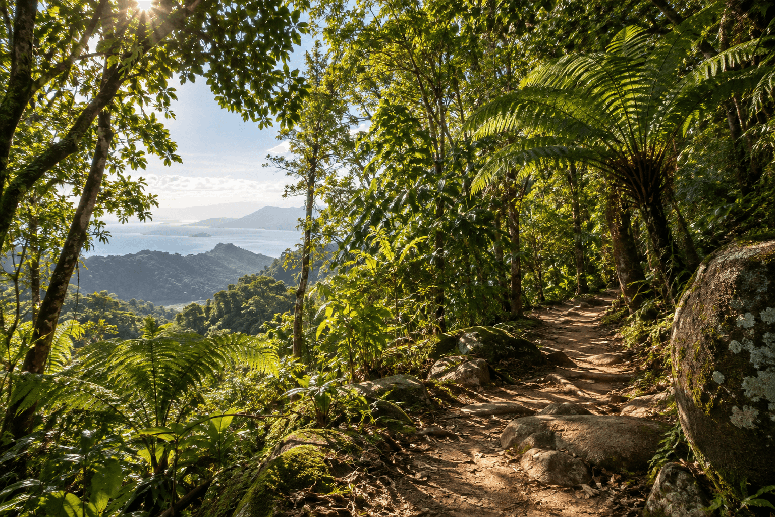 Caminho em meio à natureza — foto ilustrativa